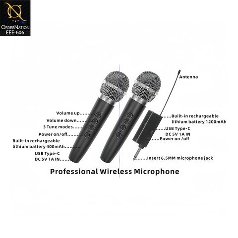 DPUS DS-02S Dual Wireless Microphone Set with 2 Rechargeable Mics, Echo & Volume Control with 6.5 MM MicroPhone Jack