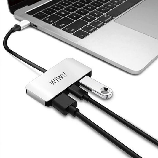 Wiwu 3 in 1 (C2H) Type-C Hub - Silver