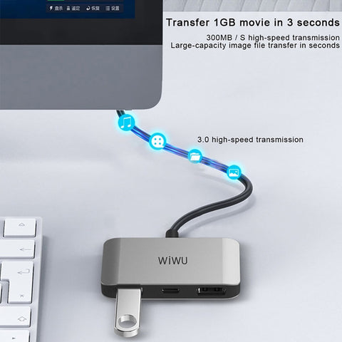 Wiwu 3 in 1 (C2H) Type-C Hub - Silver