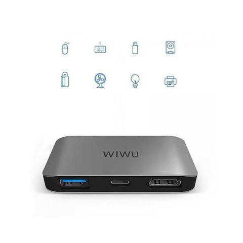 Wiwu 3 in 1 (C2H) Type-C Hub - Silver